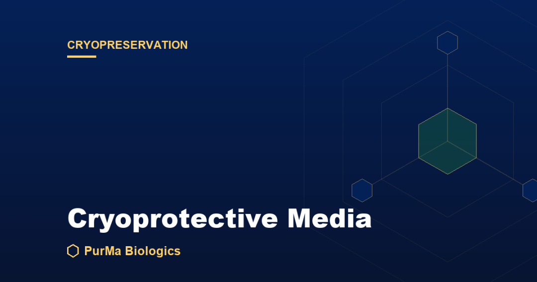 Read more about the article What Is Cryoprotective Media? Freezing Cells With and Without DMSO