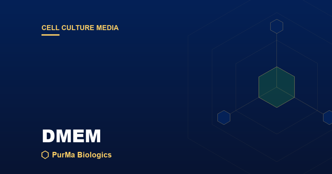 Read more about the article What Is DMEM? Dulbecco’s Modified Eagle’s Medium Explained