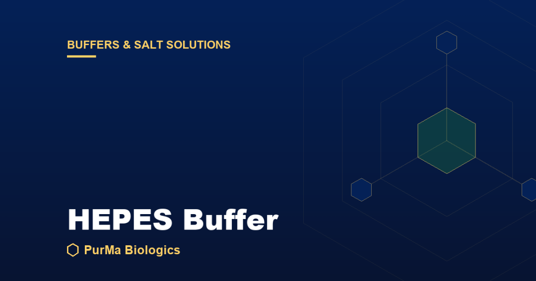 Read more about the article What Is HEPES Buffer? Its Role in Cell Culture