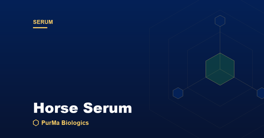 Read more about the article What Is Horse Serum? Composition, Uses, and Benefits