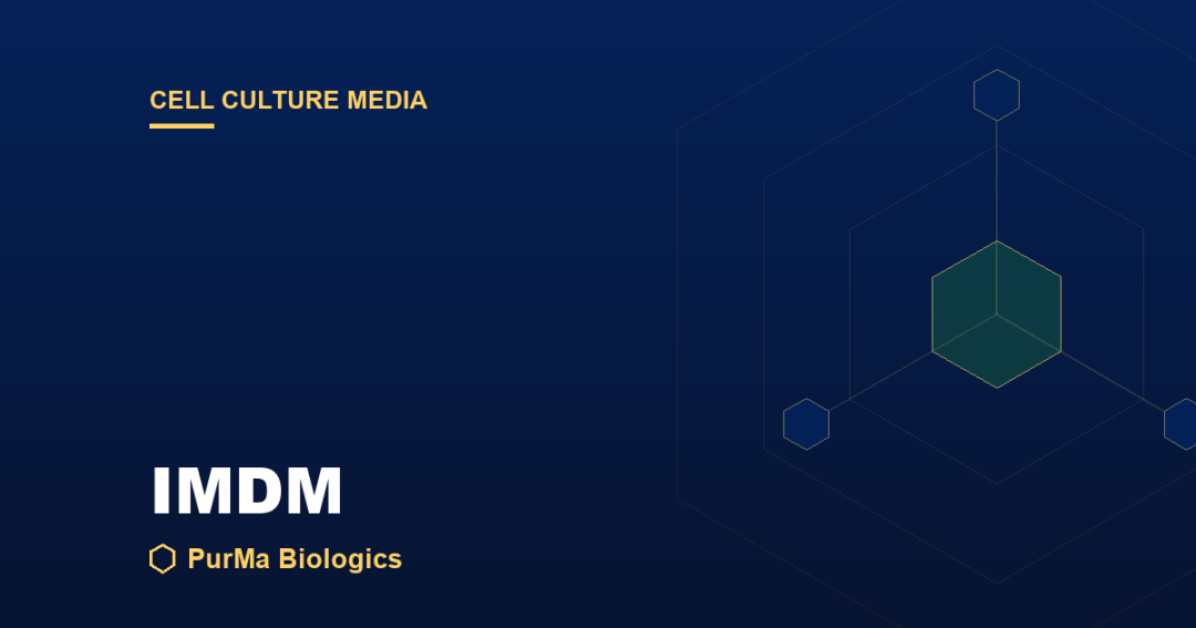 Read more about the article What Is IMDM? Iscove’s Modified Dulbecco’s Medium Explained